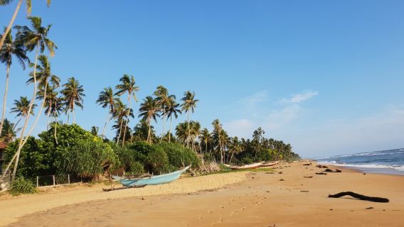 Wadduwa Beach