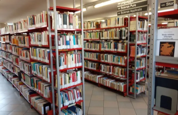 科洛尼奧蒙澤塞