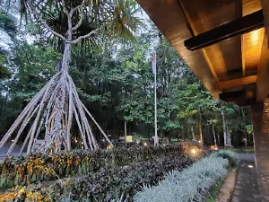 Klub Golf Rimba Papua
