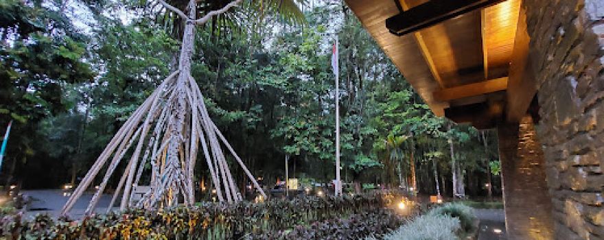Klub Golf Rimba Papua