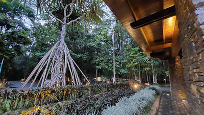 Klub Golf Rimba Papua