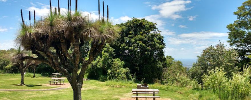 Burtons Well Camping Area
