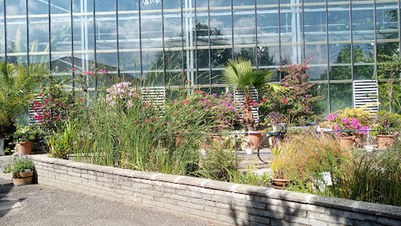 Pécsi Tudományegyetem Botanikus Kert