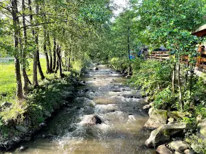 Camping Poieni