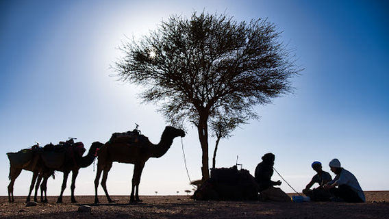 Maroc Berbere Tours
