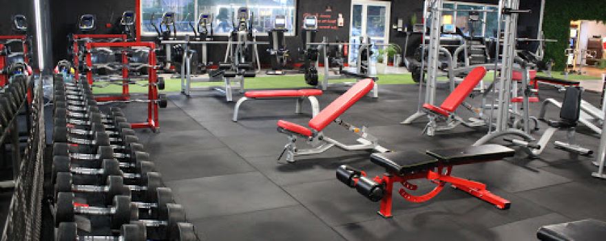 4d Gym Club