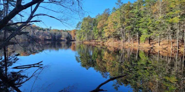 Fisherville Brook Wildlife Refute