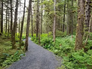 Nature Trail