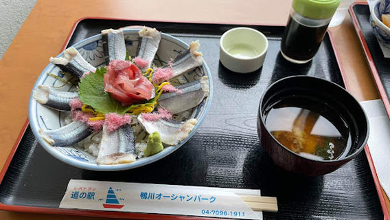 Roadside Station Kamogawa Ocean Park