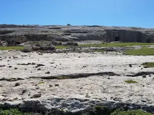 Soğmatar