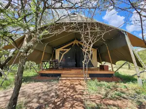 Olare Motorogi Conservancy