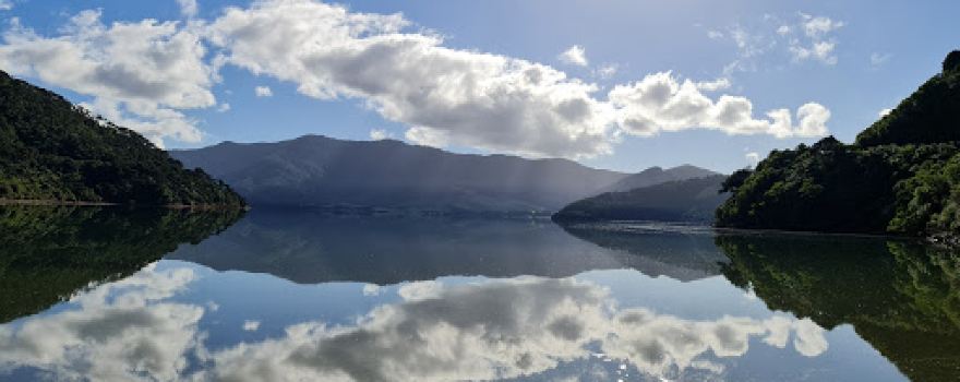 Nikau Cove