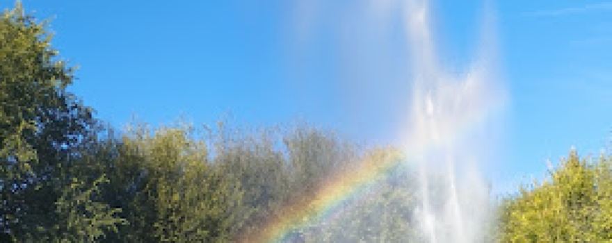 Parque de los Patos