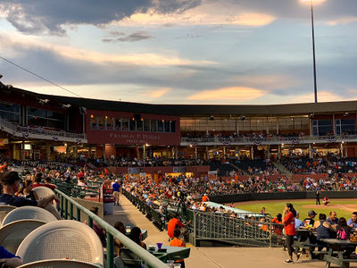 Delmarva Shorebirds