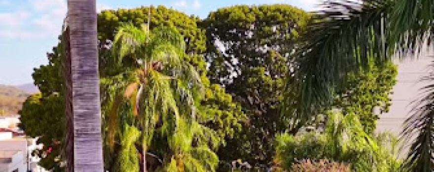 Jardim Municipal Monte Castelo