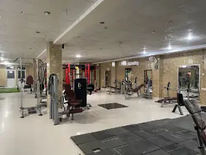 Iron will gym palwal