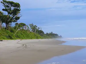 Wisata Alam, Pantai Seluma