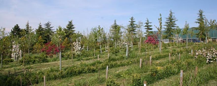 Arboretum et pépinière Woodtli - Leuba SA // Visite sur RDV