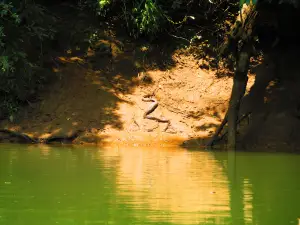 Etowah River