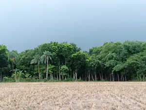 CPP