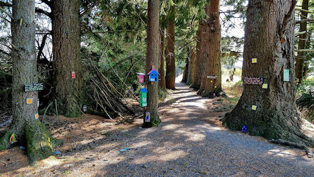 Methven walkway - Fairy wren walk