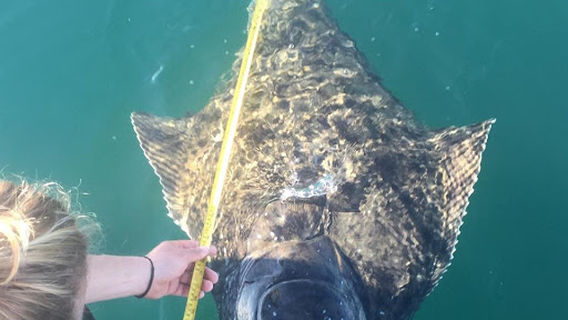 O'Fish'ial Charters of Alaska