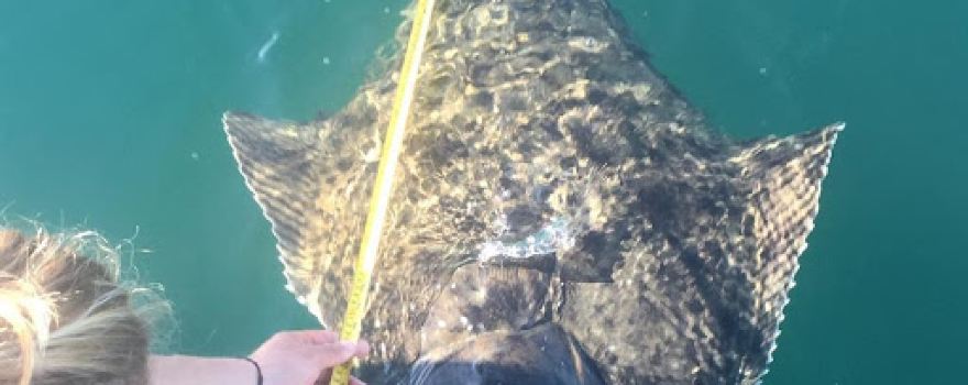 O'Fish'ial Charters of Alaska