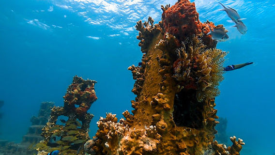 Grenada Artificial Reef Project