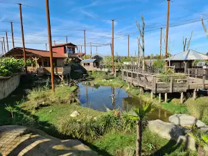 Parrot World - Immersive Wildlife Park