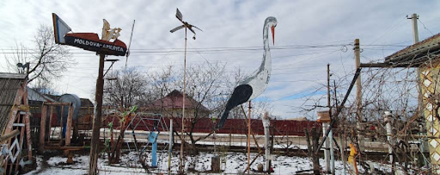 Muzeul Anton Port