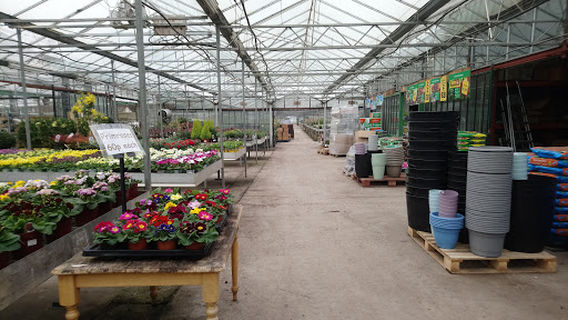 Robins Bridge Nursery Ltd.