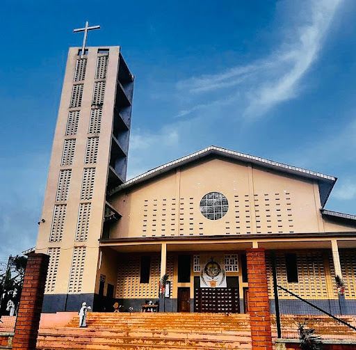 Vuelos ${{cityDName}} Mongomo