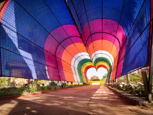 Tayug Sunflower Eco Park