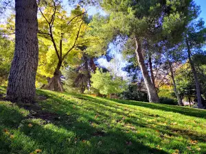Jardin de los Reyes Catolicos
