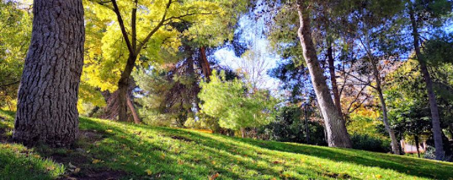 Jardin de los Reyes Catolicos