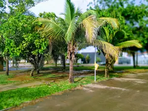 the Skate Park Square