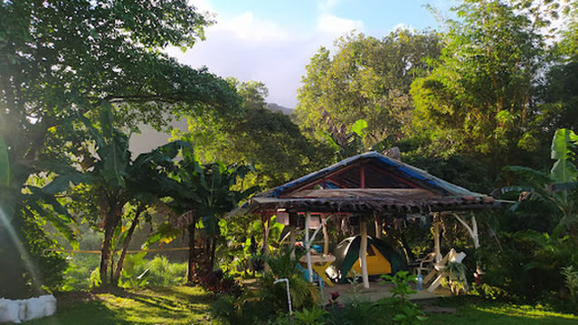 Natural Green - Eco-Campsite