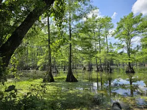 Richard Fleming Park