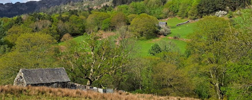 RSPB Mawddach Woodlands