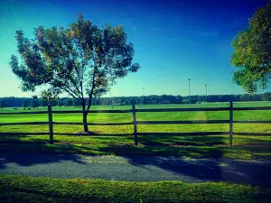 Green Branch Park