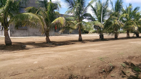 Jagadguru Swami Narendracharyaji Maharaj Sansthan