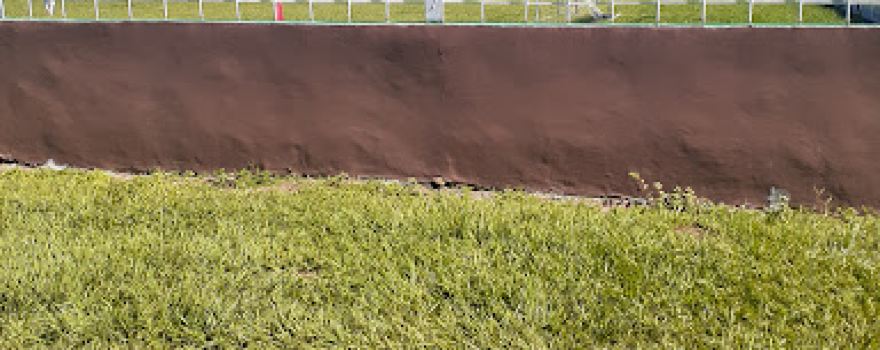 Estadio Carlos Calderón