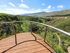 Ayun Stream Nature Reserve - שמורת טבע נחל עיון (התנור)
