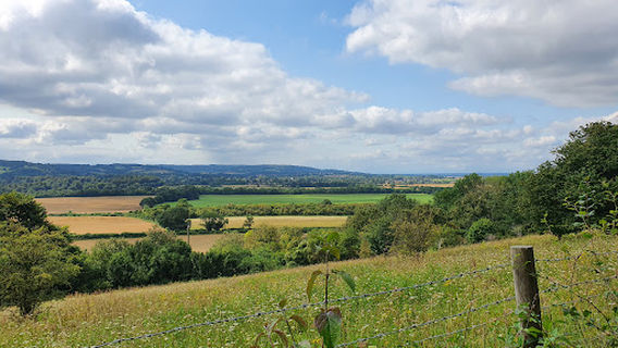 Aldbury Nowers Nature Reserve
