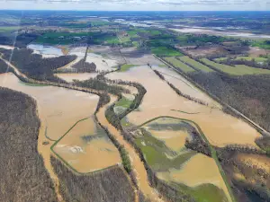 Obion River Wildlife Management Area