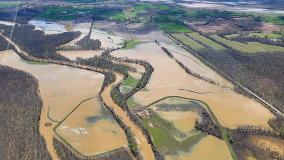 Obion River Wildlife Management Area