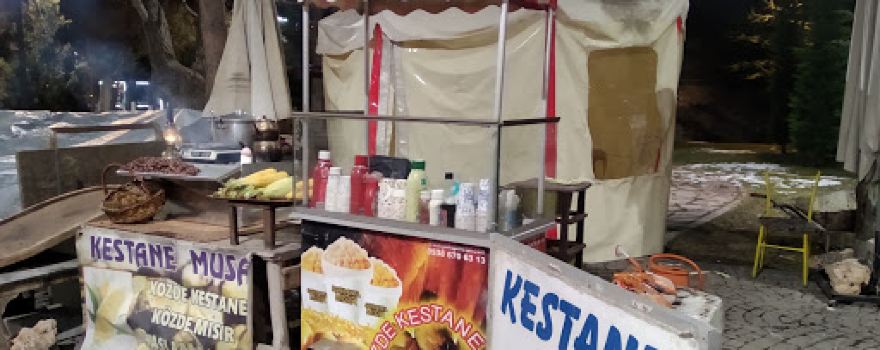 KESTANE MUSA