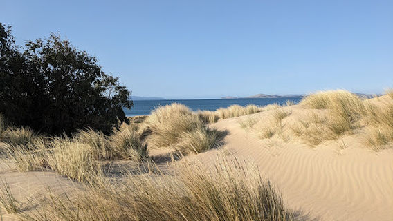 Seven Mile Beach Coastal Reserve