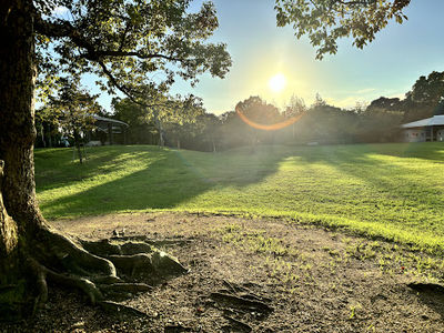 Tokushimaken Bunkanomori Park