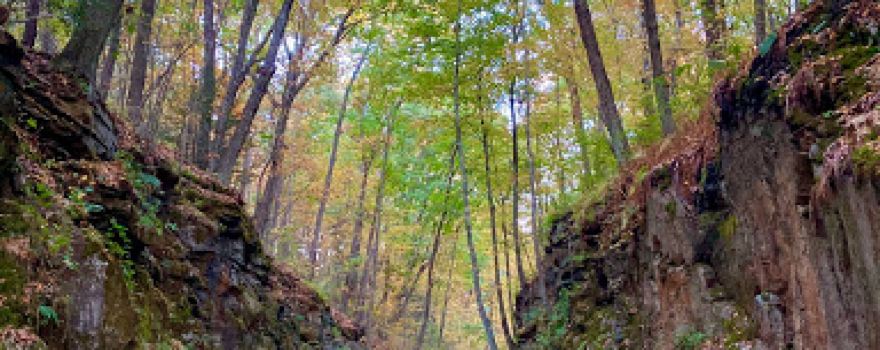 Mass Central Rail Trail